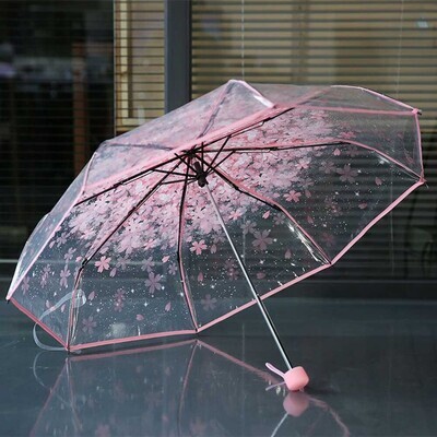 Japanese Transparent Umbrella Floral Design