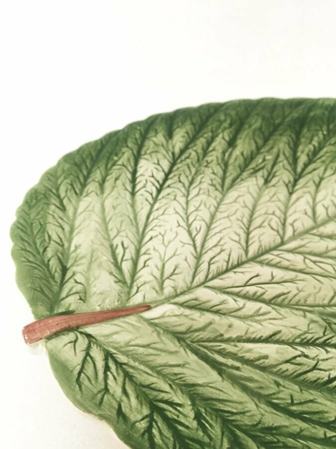 Plat barbotine "Feuille de salade", 1970