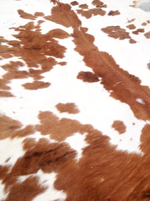 Tapis peau vache vintage, 1970