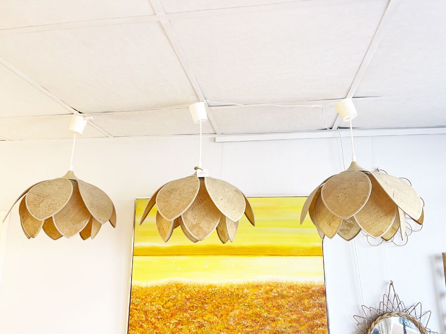 Suite 3 suspensions Lotus, circa 1970