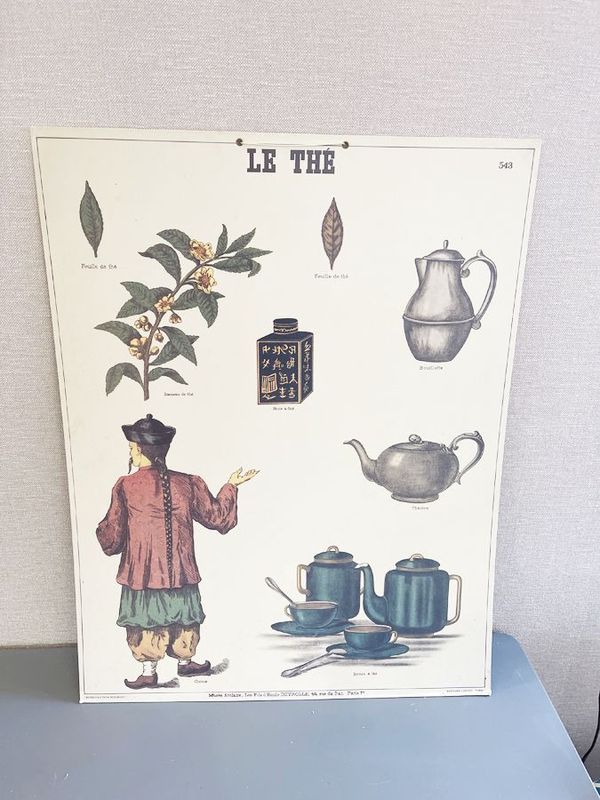 Affiche pédagogique ancienne Deyrolle “Le Thé”