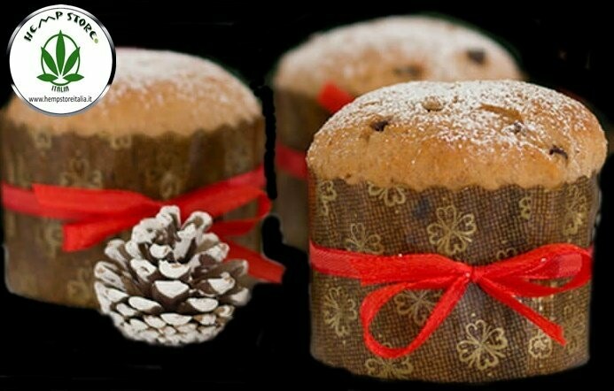 PANETTONE ALLA CANAPA CON GOCCE DI CIOCCOLATO