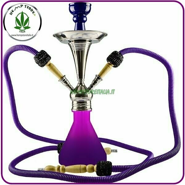 ALADIN ROY 2 HOSE ROSA-VIOLA 42CM