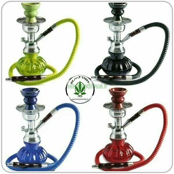 ALADIN SHISHA 2 HOSE 24cm  4 COLORI