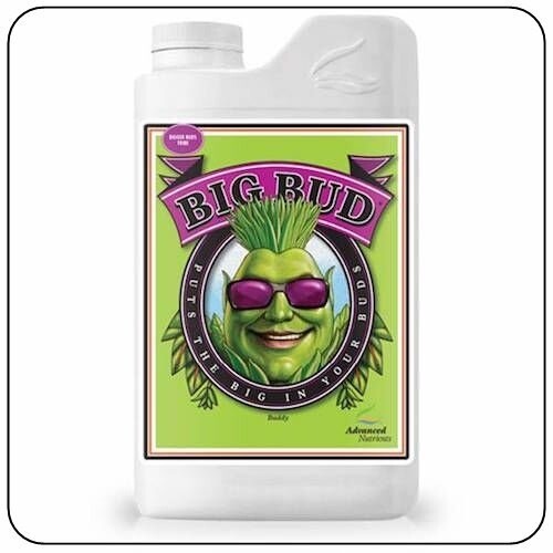 ADVANCED NUTRIENTS - BIG BUD