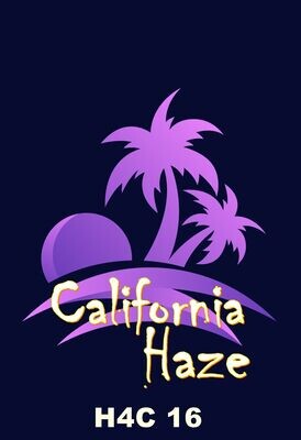 CALIFORNIA HAZE CBD 26% H4CBD 16%