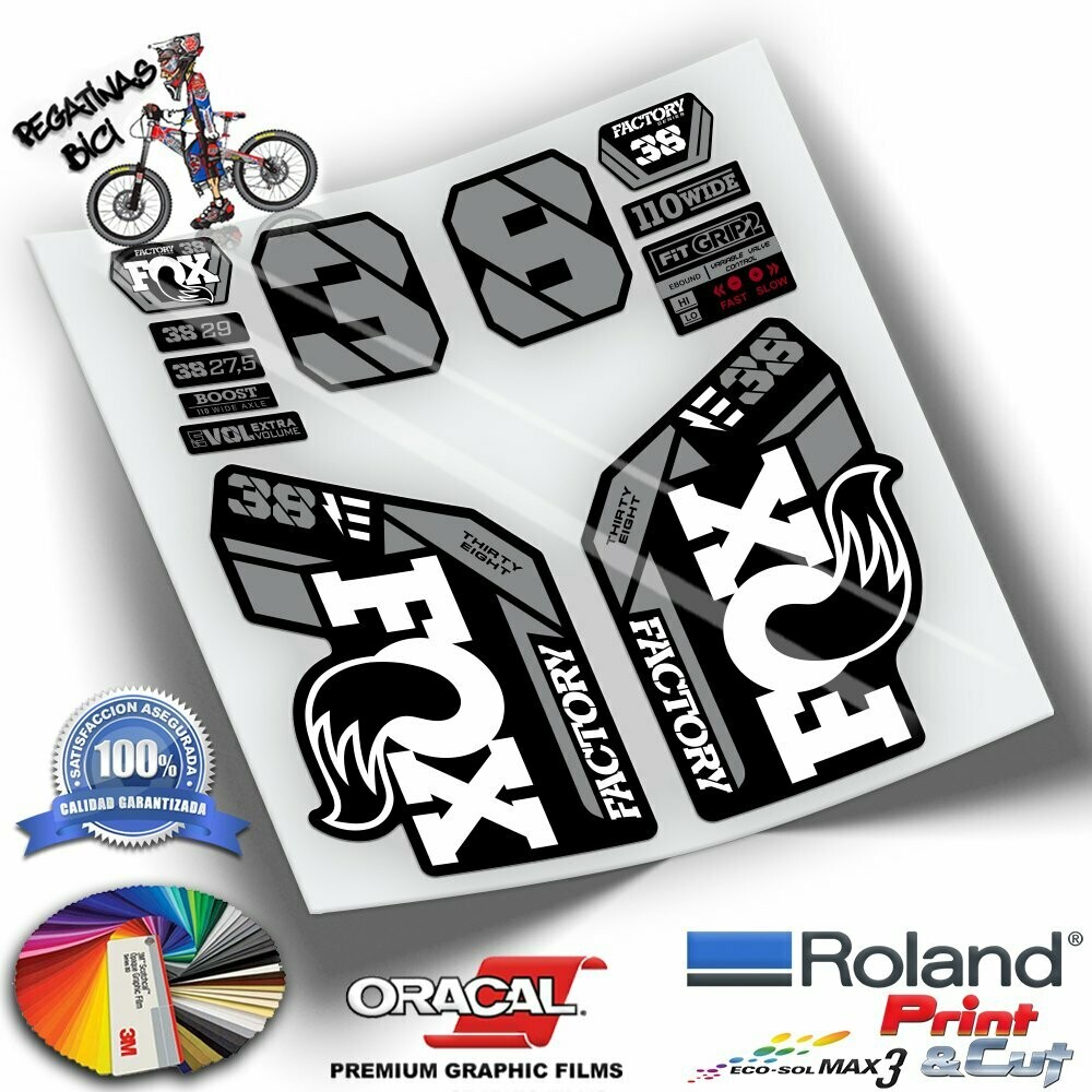PEGATINAS HORQUILLA FOX 38 FACTORY EBIKE 2021-2022 BICOLOR WP436, COLOR: BLANCO