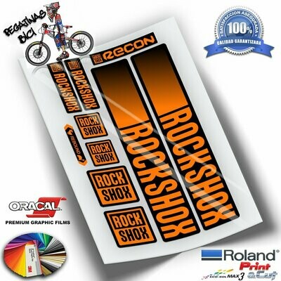 PEGATINAS HORQUILLA ROCKSHOX RECON 2021-2023 COLORES WP442