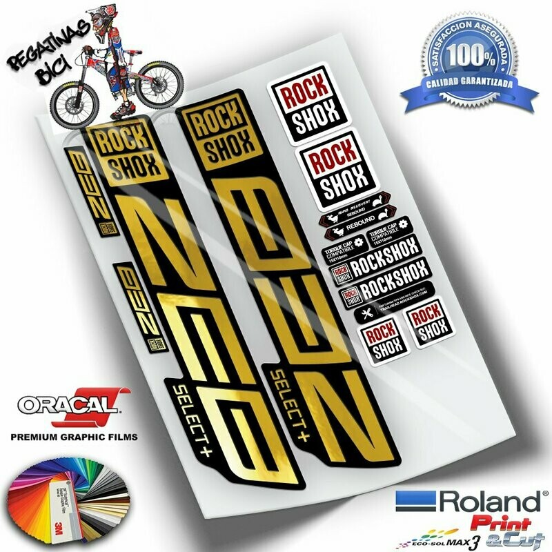 PEGATINAS HORQUILLA ROCKSHOX ZEB SELECT PLUS 2021-2023 COLORES WP445