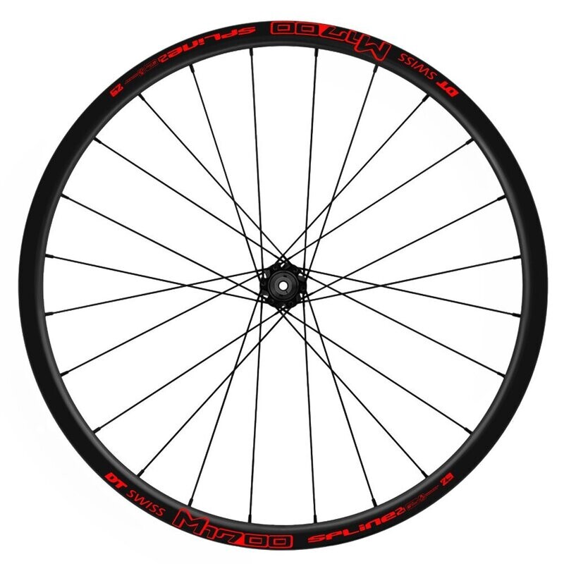 PEGATINAS LLANTAS DT SWISS 1700 29 WH31