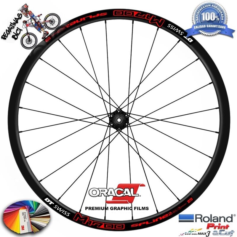 PEGATINAS LLANTAS BICI DT SWISS 1700 BICOLOR WH46