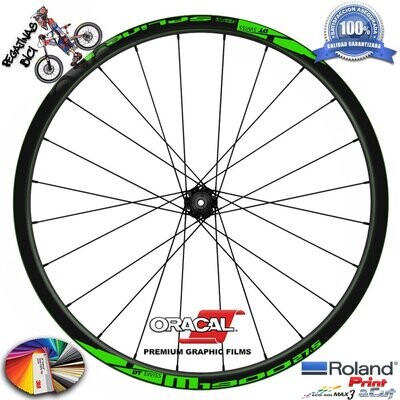 PEGATINAS LLANTAS DT SWISS 1900 27,5 WH49