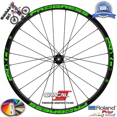 PEGATINAS LLANTAS PROGRESS XCB 29 WH50