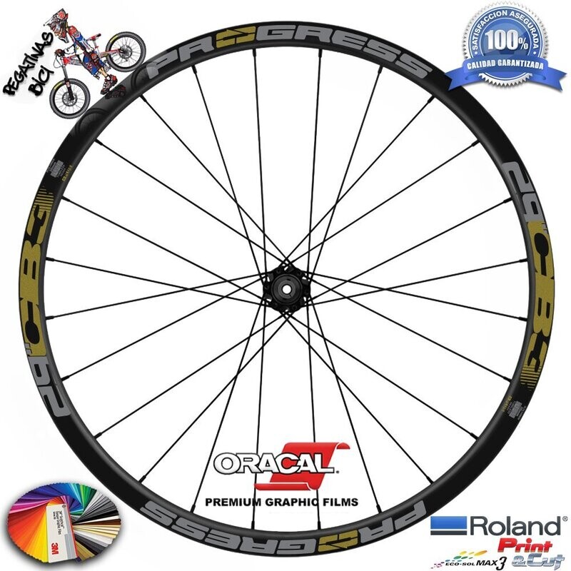 PEGATINAS LLANTAS PROGRESS CB3 29 BICOLOR WH55