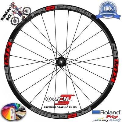 PEGATINAS LLANTAS PROGRESS MTX 29 BICOLOR WH57