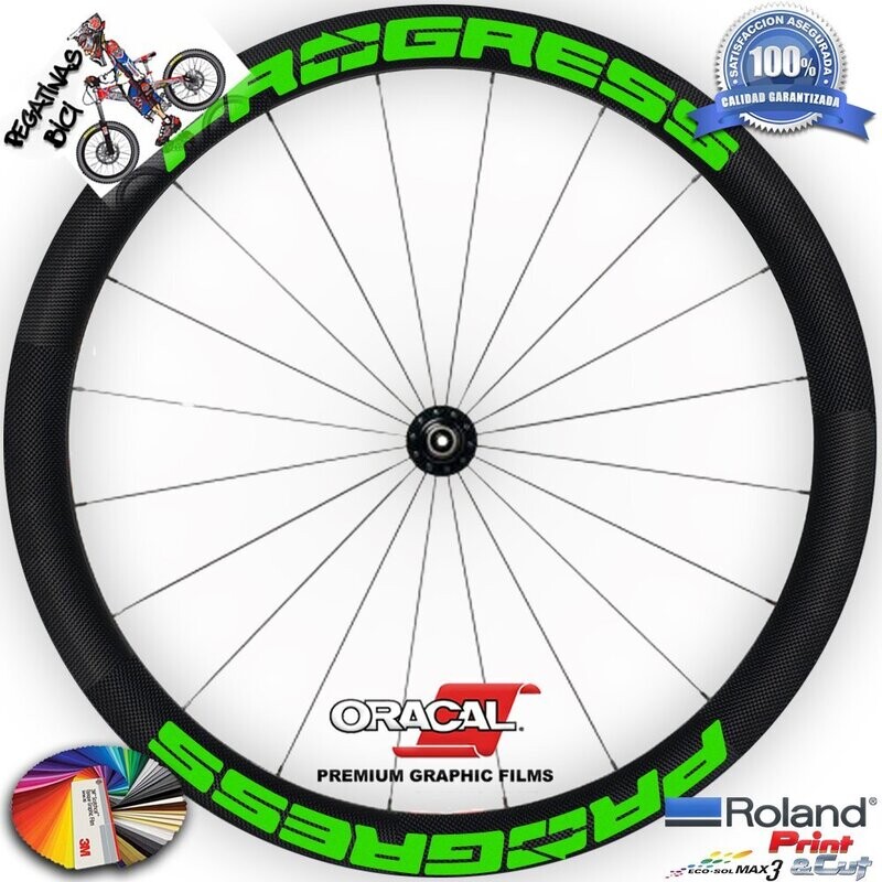 PEGATINAS LLANTAS PROGRESS DISC WH58