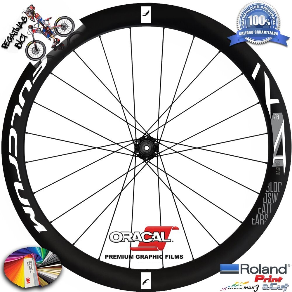 PEGATINAS LLANTAS FULCRUM RACING 4DB R4 WH73, COLOR: BLANCO