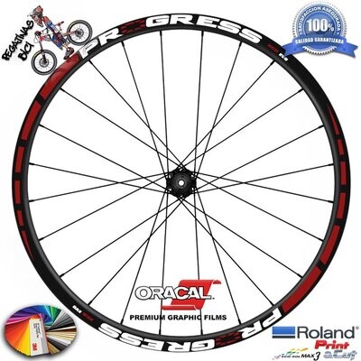 PEGATINAS LLANTAS PROGRES XCD EVO MOD. 02 WH76
