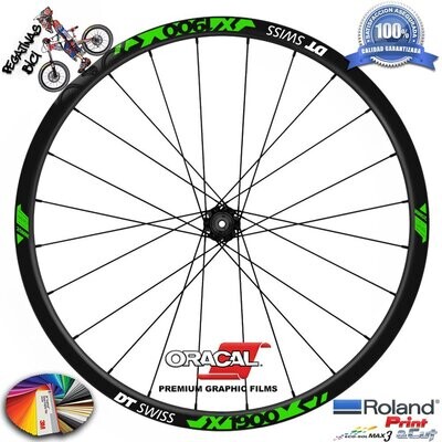 PEGATINAS LLANTAS DT SWISS X1900 25 WH77