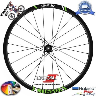 PEGATINAS LLANTAS DT SWISS XR 1650 WH79