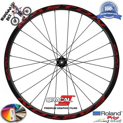 PEGATINAS LLANTAS EASTON EA70 XCT WH84 PEGATINAS LLANTAS EASTON EA70 XCT WH84