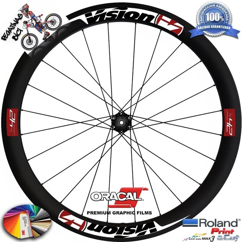 PEGATINAS LLANTAS VISION T42 WH87