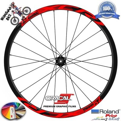 PEGATINA LLANTA GIANT XCR1 29 WH101