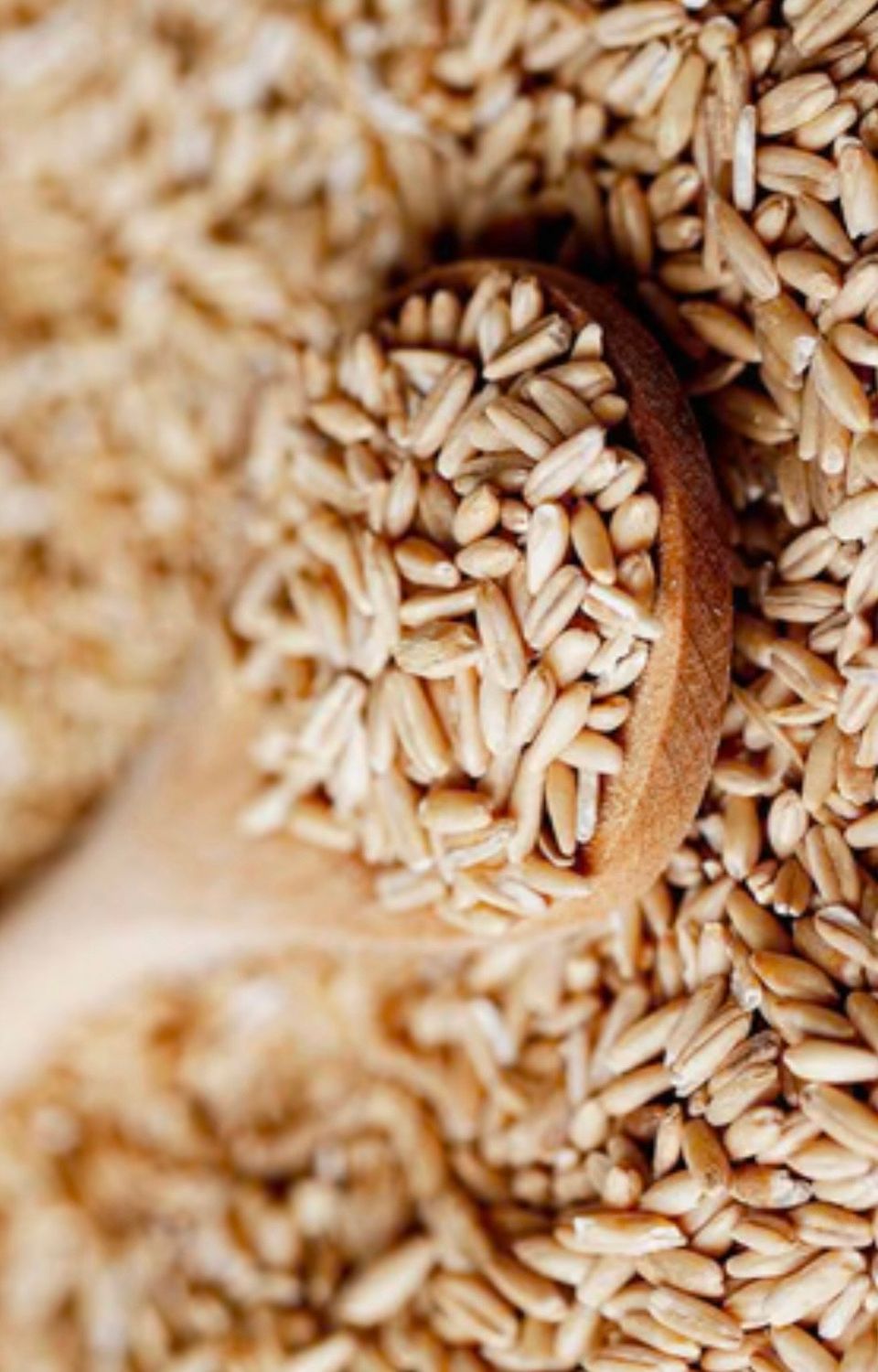 OATMEAL + SEA SALT Exfoliating Soap Bar