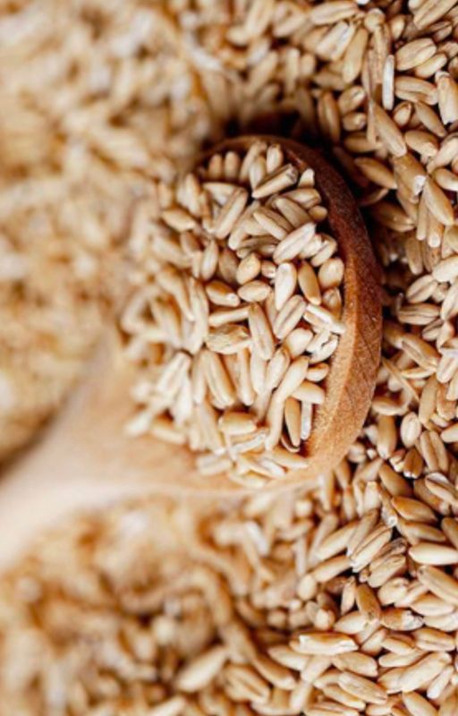 OATMEAL + SEA SALT Exfoliating Soap Bar