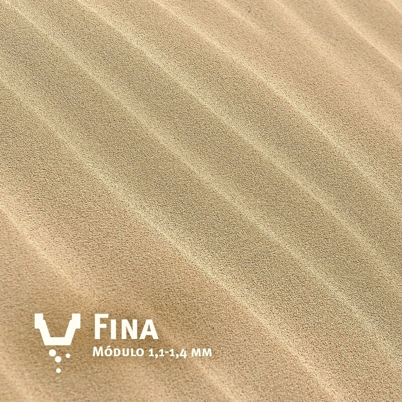 FINA