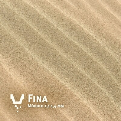FINA