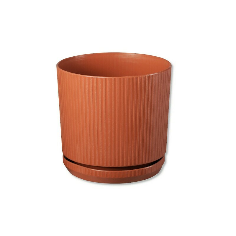 Classic Ribbed