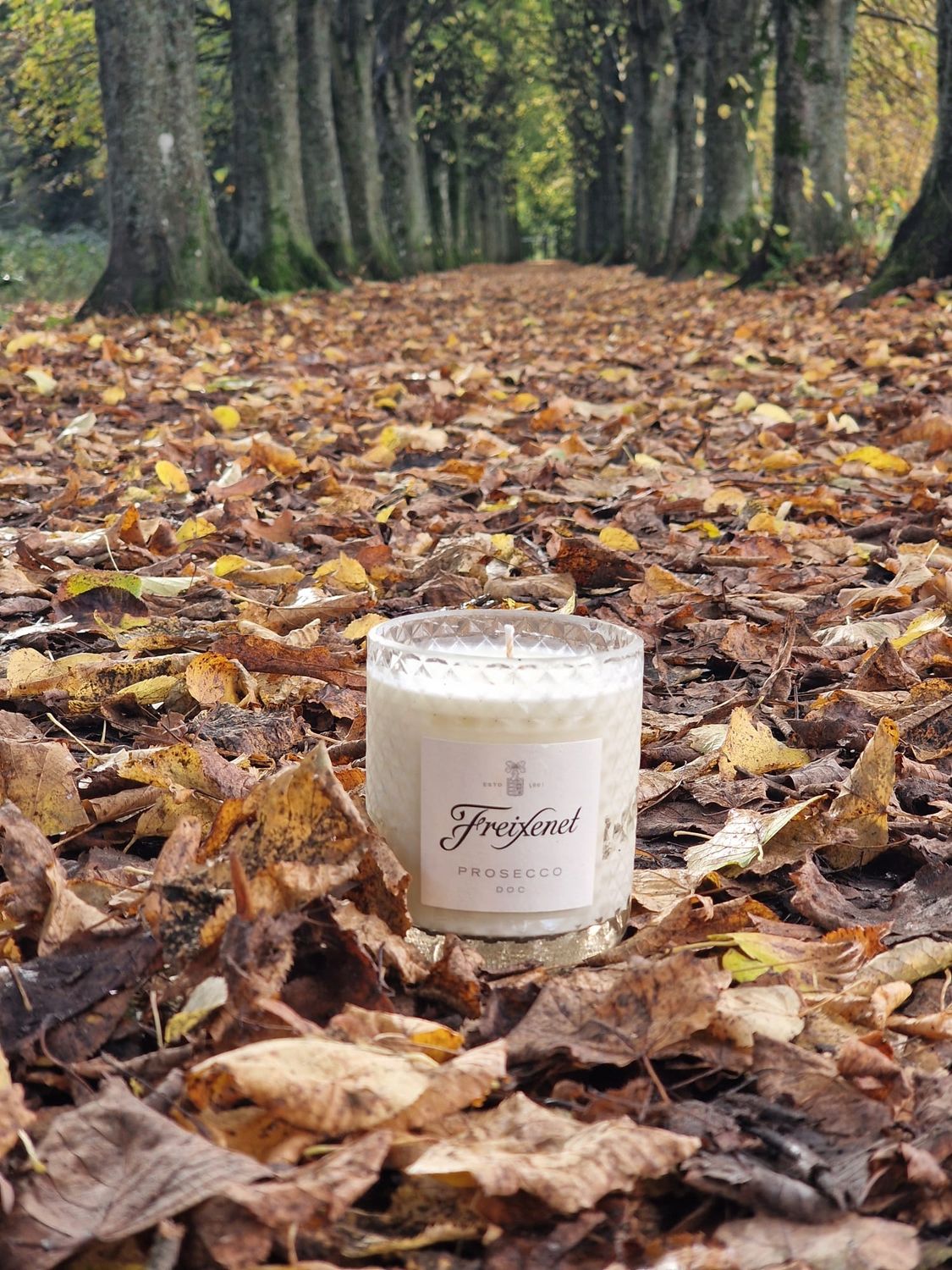 Freixenet Candle