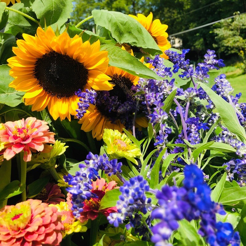 Weekly Early Season Share (5 weeks / 5 bouquets)