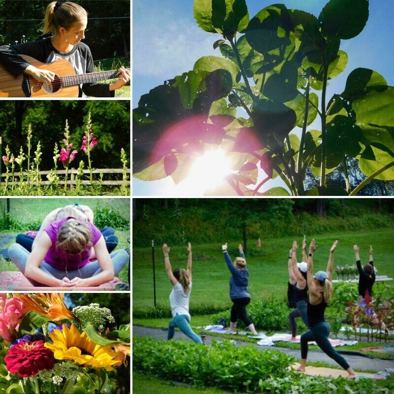 June Morning Yoga: Saturday 6/21 @ 9am