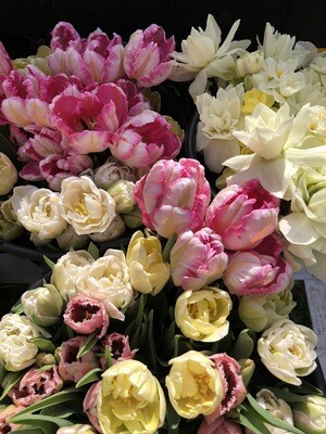Special Event Floral (Weddings/Showers/Parties)