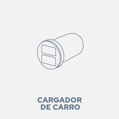 Cargador de carro