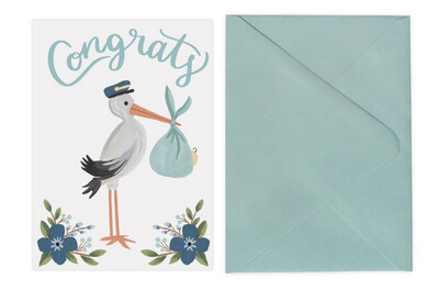 Stork Congrats- Card & Envelope
