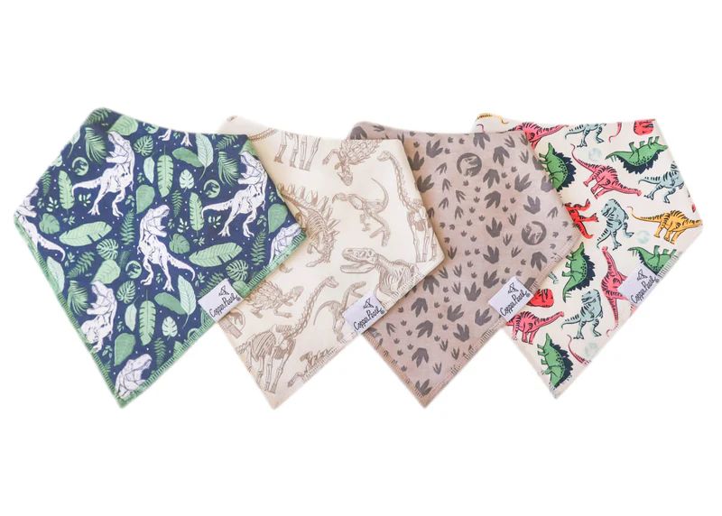 Copper Pearl "Jurassic Park" Bandana Bib Set