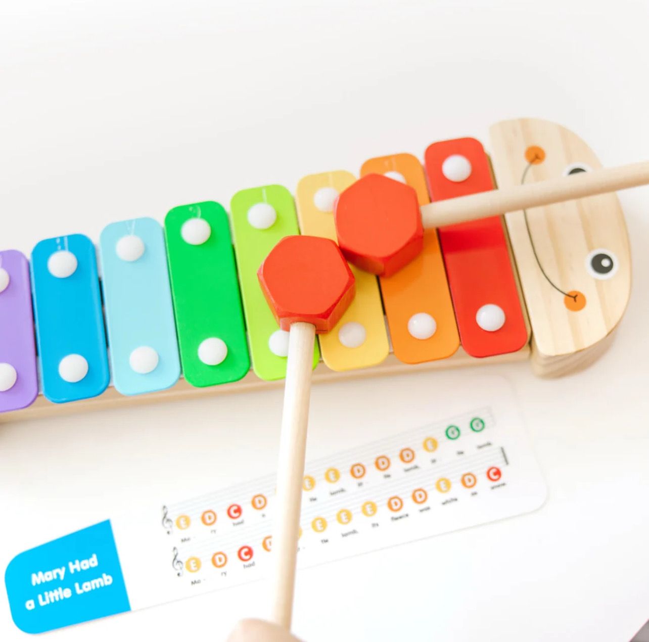 Caterpillar Xylophone