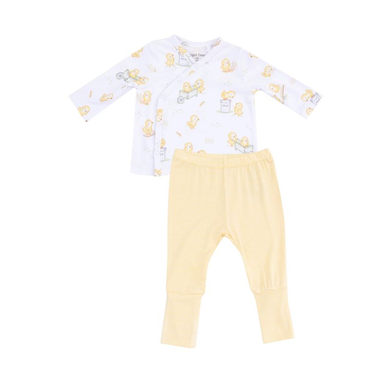 Baby Chicks Take-Me-Home Set