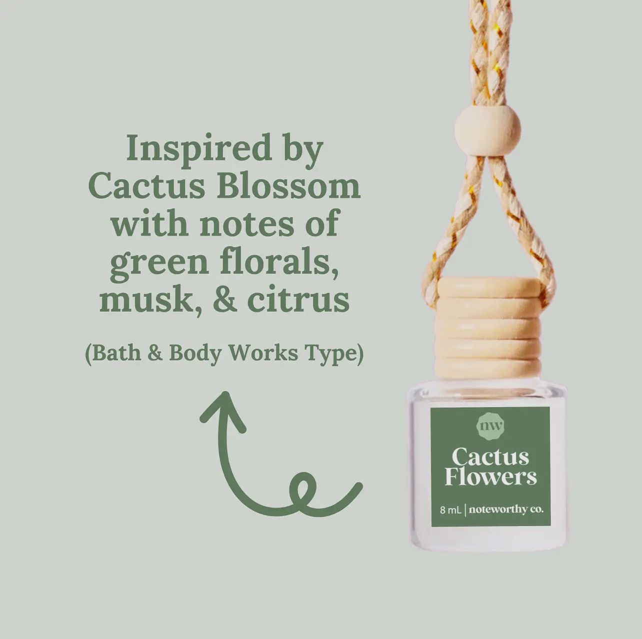 Noteworthy Co Car Diffuser- Cactus Flowers