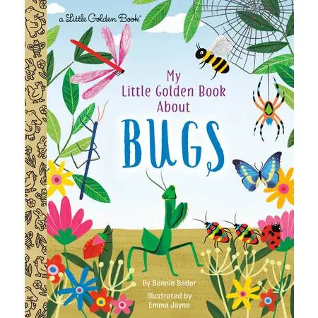 Little Golden Book About Bugs