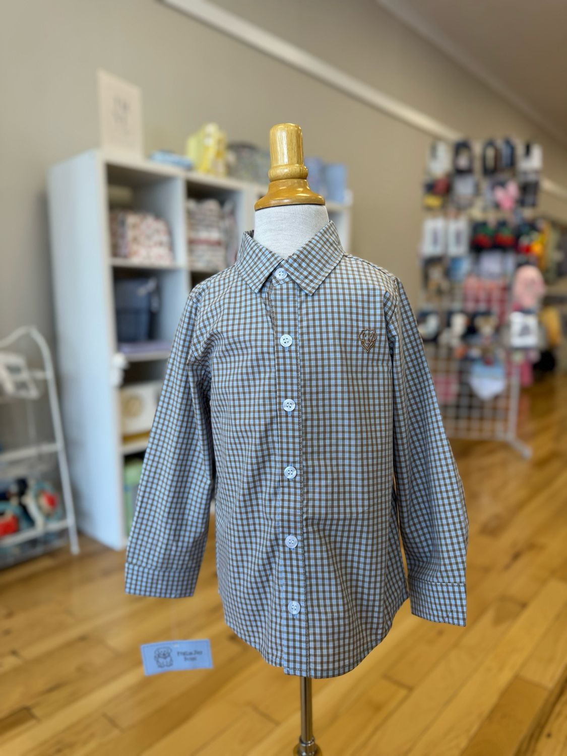 Blue &amp; Brown Boys Button Down