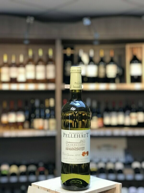 C. Gascogne Blanc L'Eté Gascon Dne de PelleHaut 2024 75 cl
