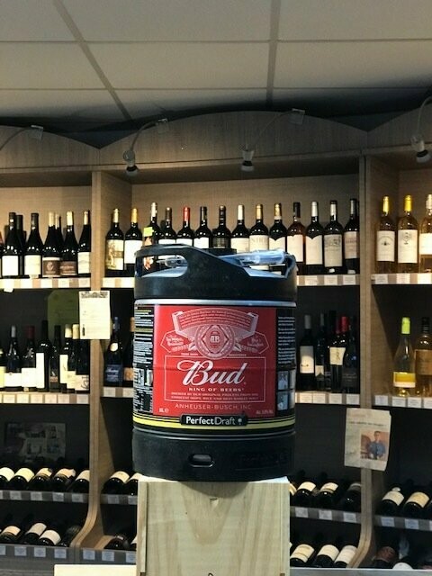 Fût de bière Bud 5° 6L