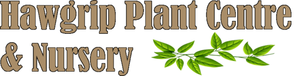Hawgrip Plants Limited