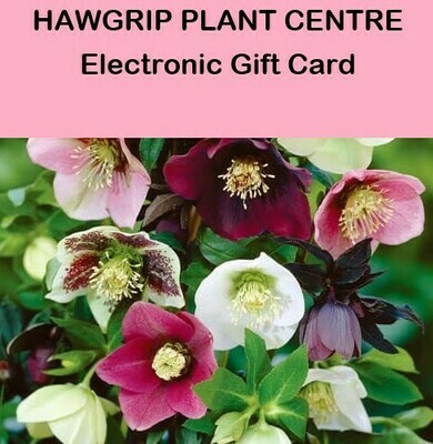Hawgrip Plant Centre Electronic Gift Card Hawgrip Plant Centre Electronic Gift Card