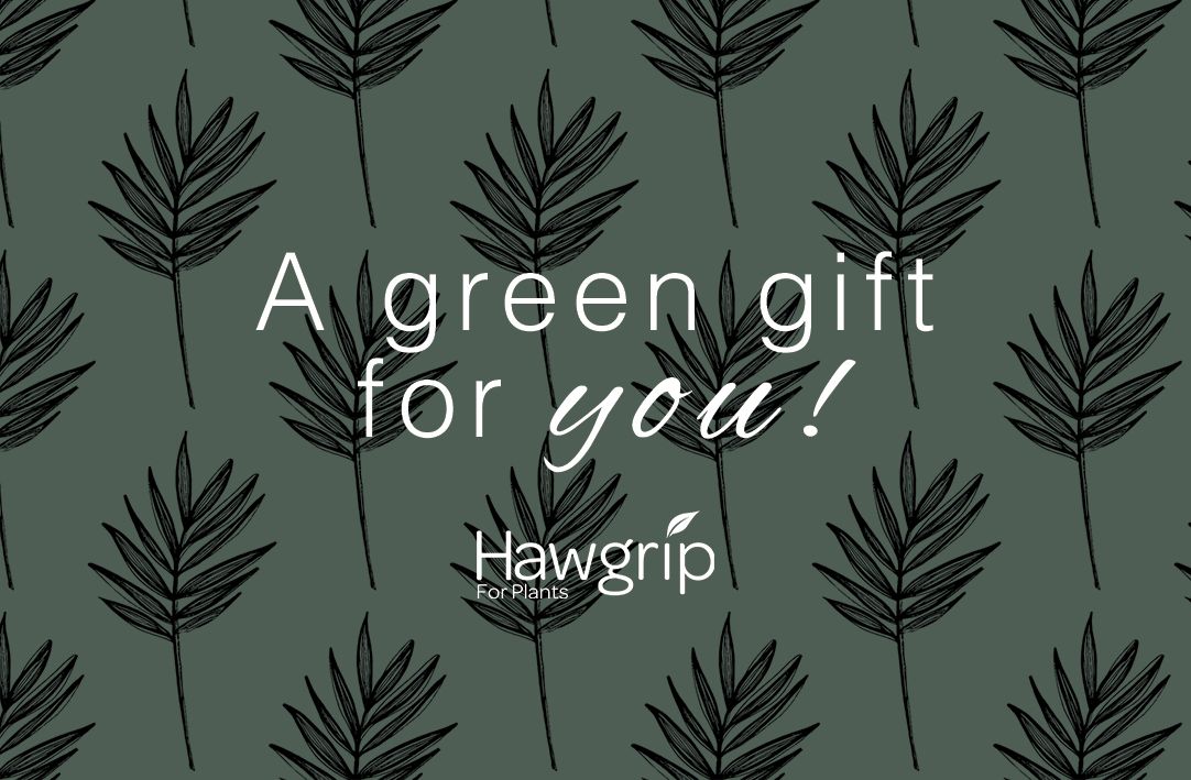 Hawgrip Gift Card Hawgrip Gift Card