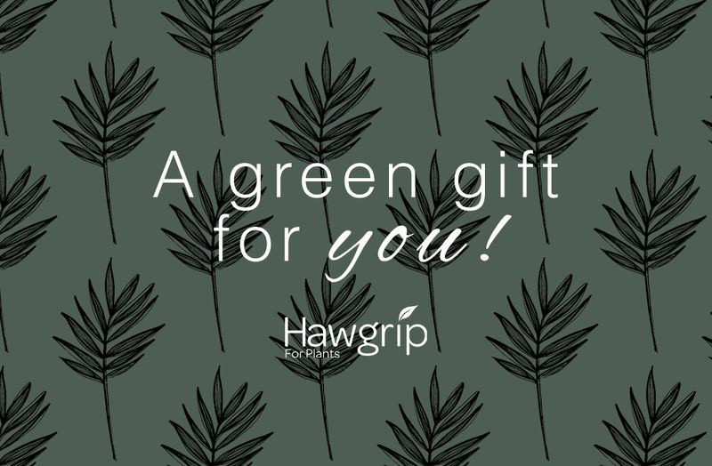 Hawgrip Gift Card